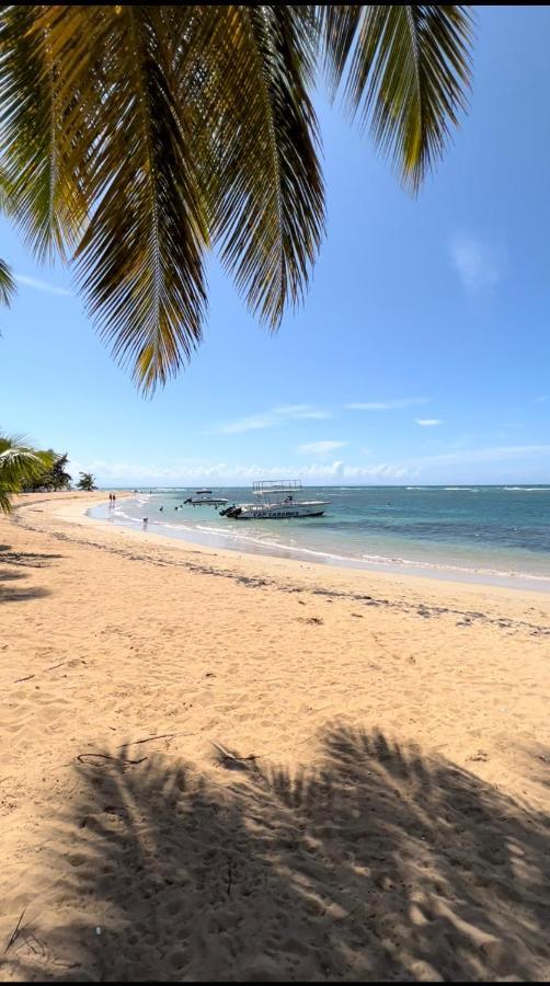 Lovely Beachfront 2 Bedrooms Condo With 2 Pools Las Terrenas Luaran gambar